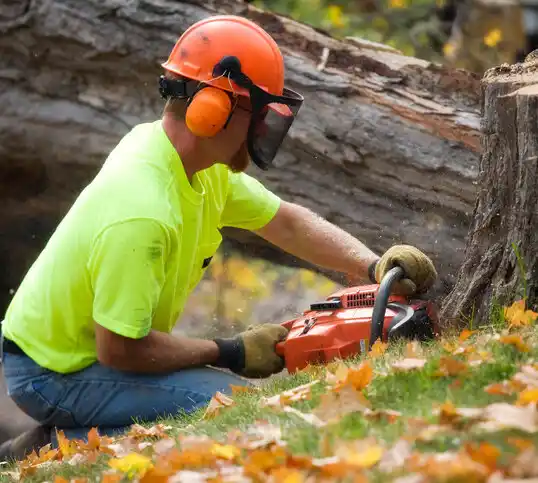 tree services Hampstead